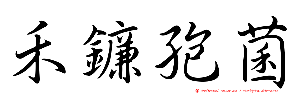 禾鐮孢菌