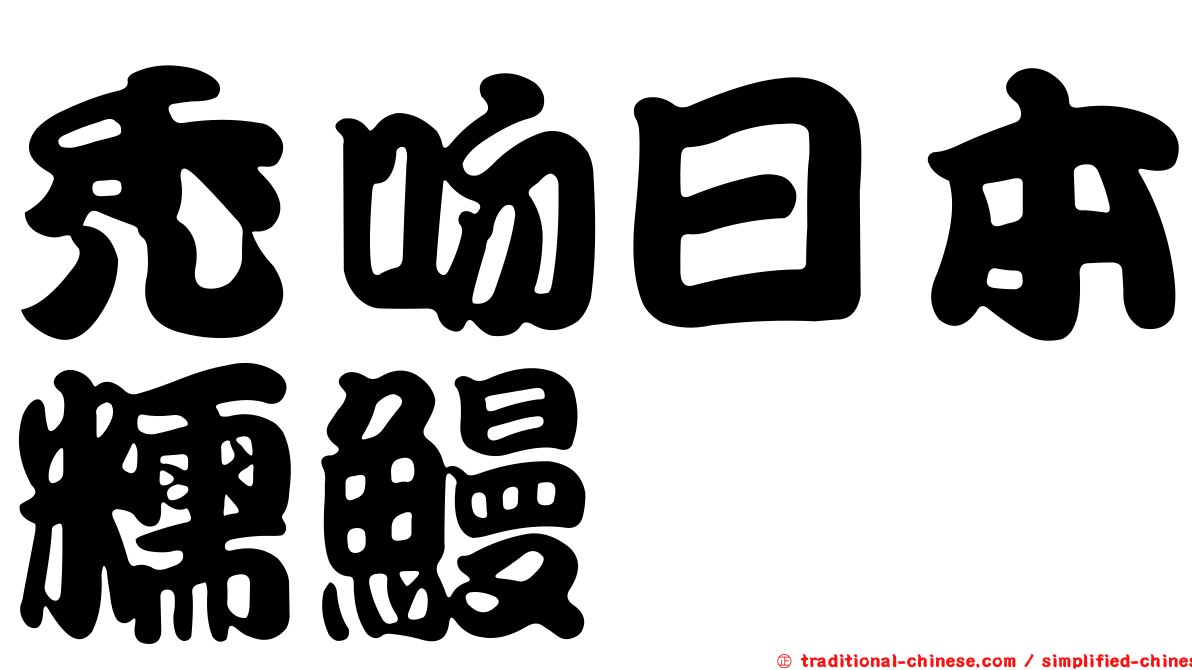 禿吻日本糯鰻