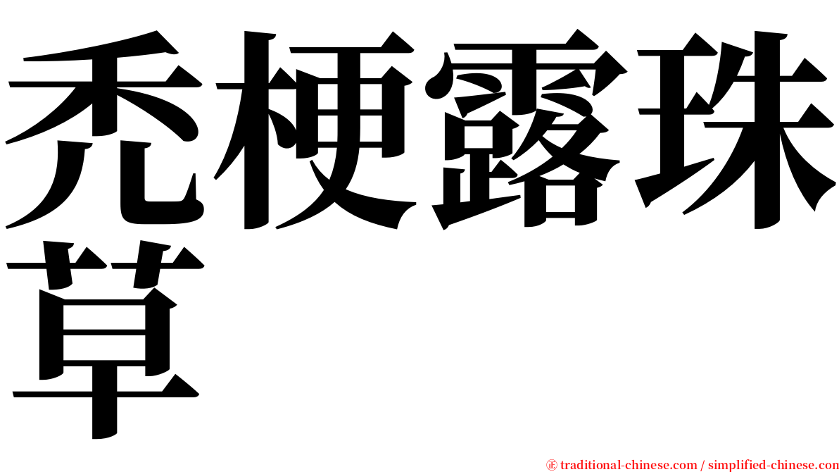 禿梗露珠草 serif font