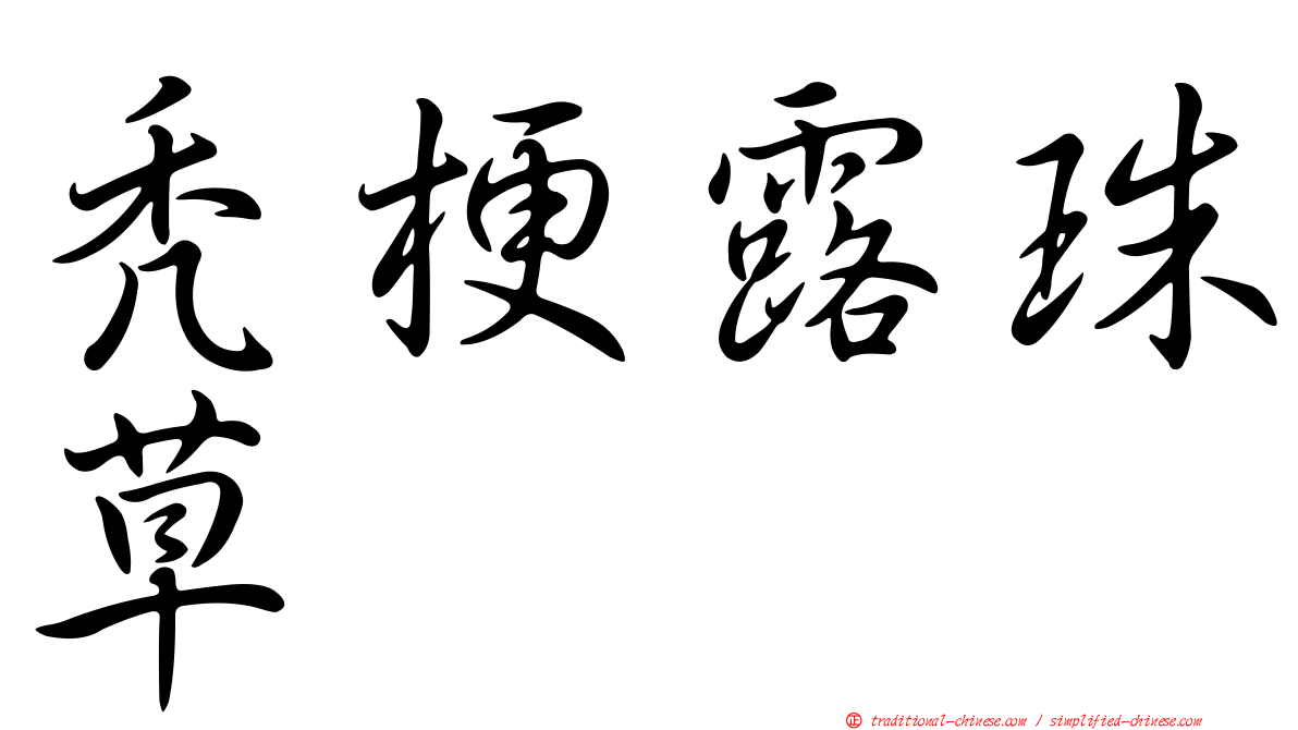 禿梗露珠草