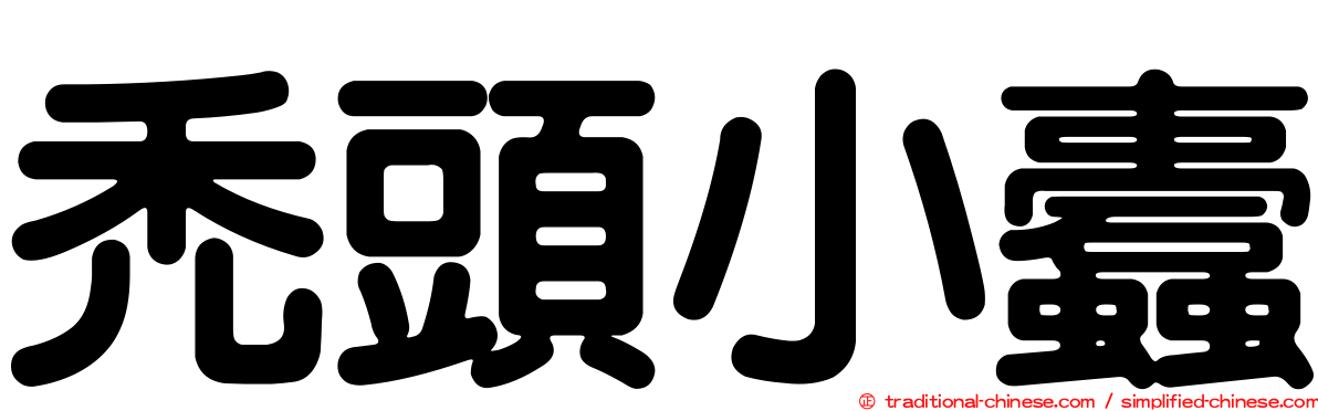 禿頭小蠹