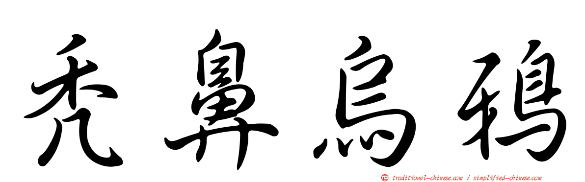 禿鼻烏鴉
