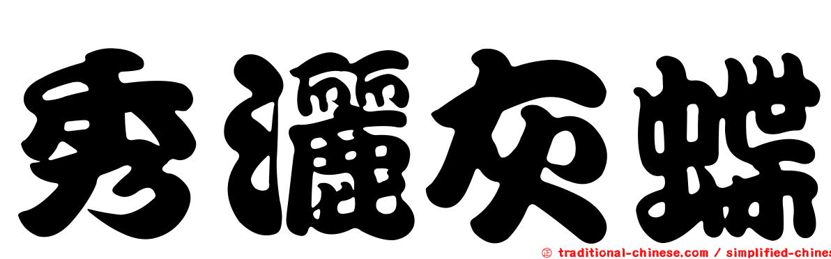秀灑灰蝶
