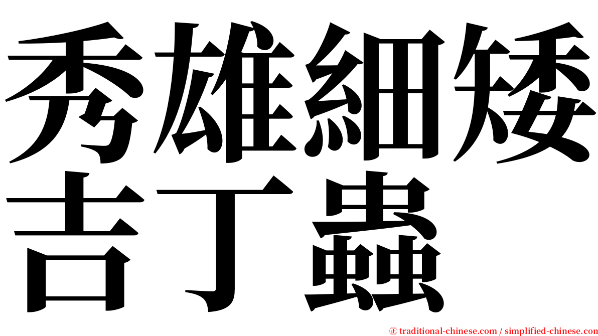 秀雄細矮吉丁蟲 serif font