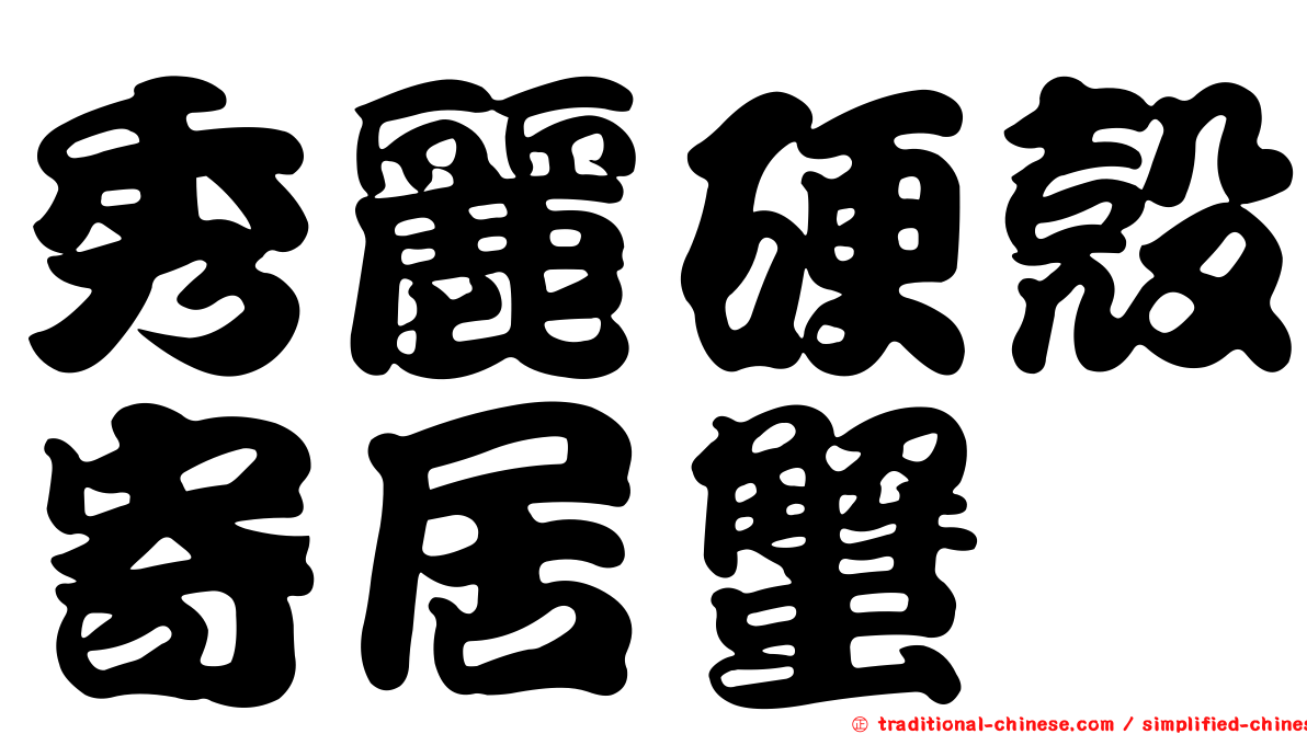 秀麗硬殼寄居蟹