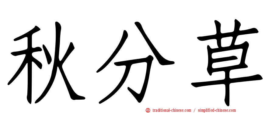 秋分草