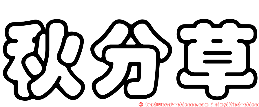 秋分草