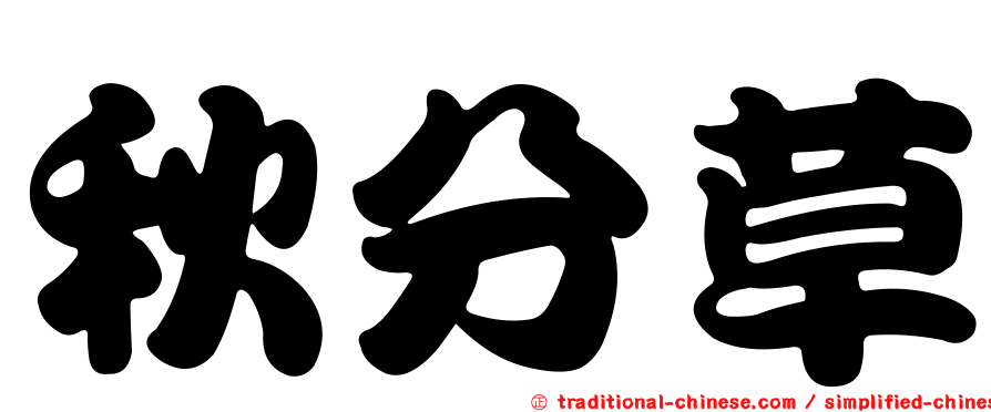 秋分草