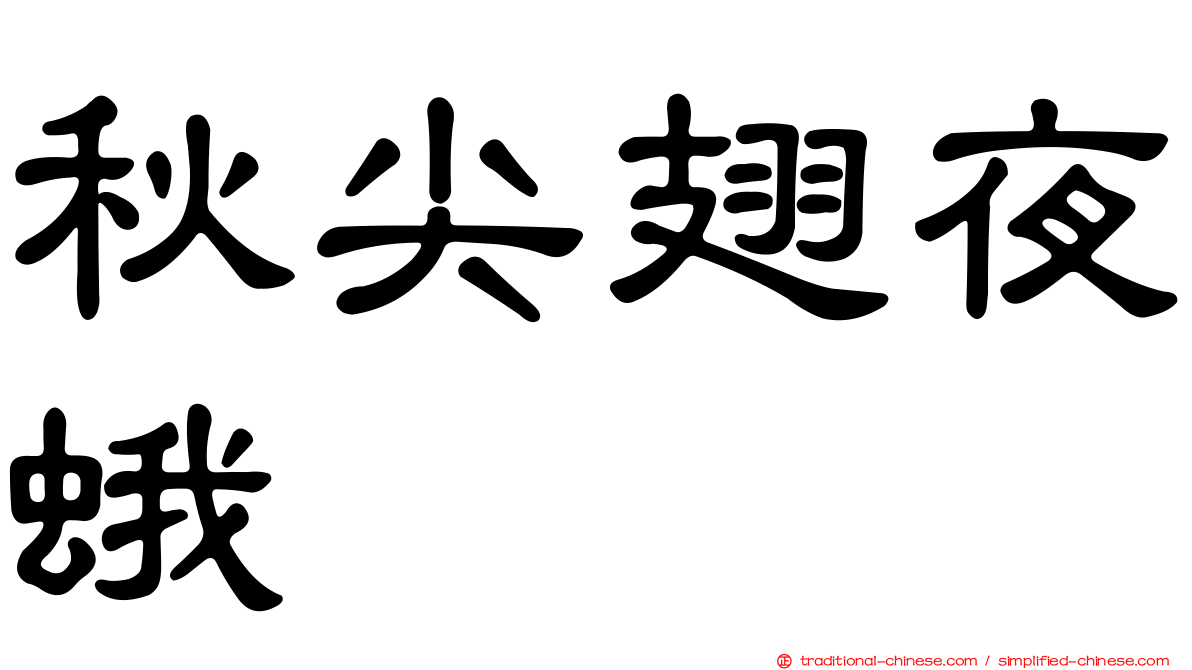 秋尖翅夜蛾