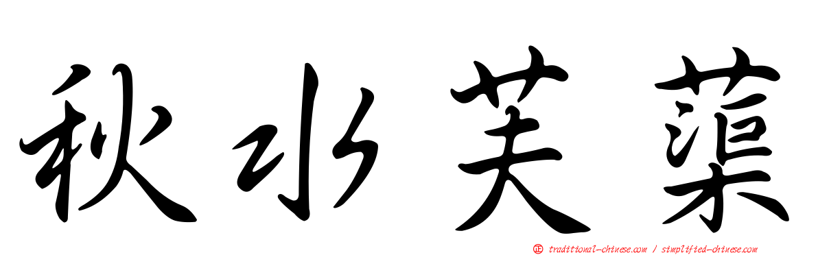 秋水芙蕖