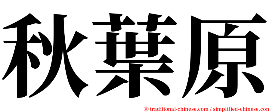 秋葉原 serif font