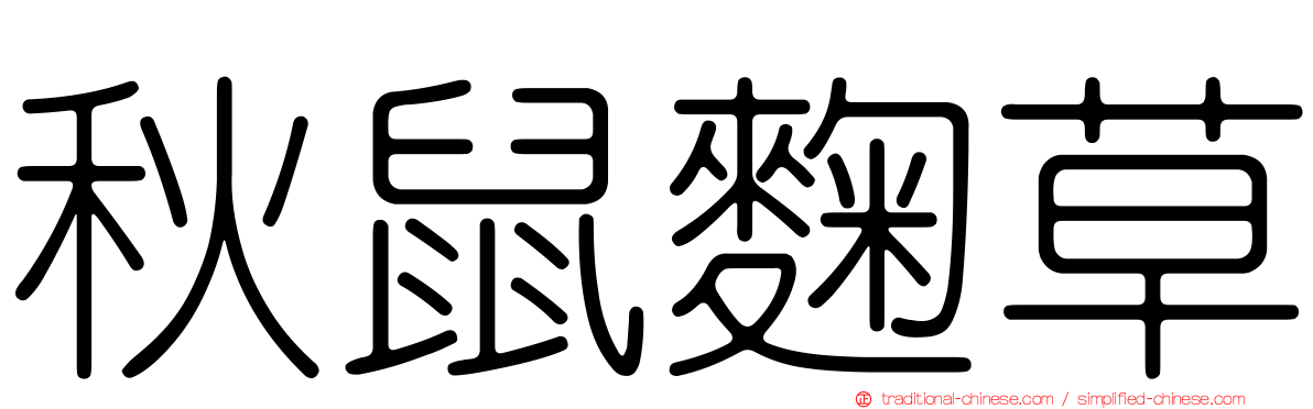 秋鼠麴草