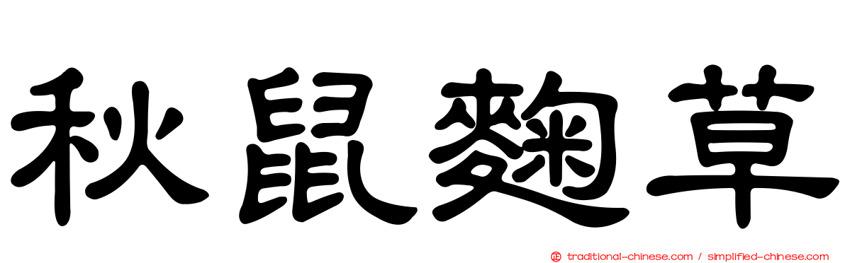 秋鼠麴草