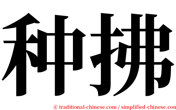 种拂 serif font