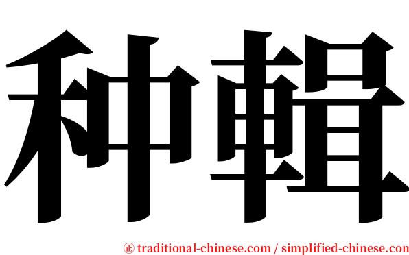 种輯 serif font