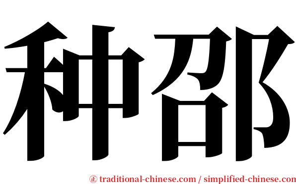 种邵 serif font