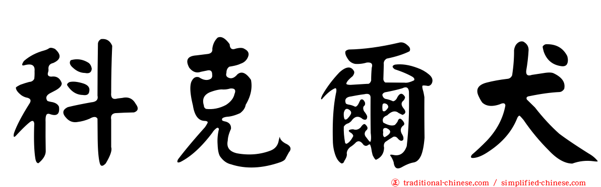 科克爾犬