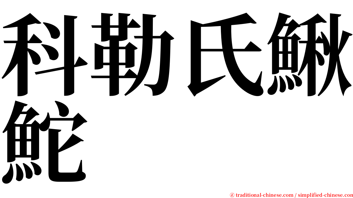 科勒氏鰍鮀 serif font