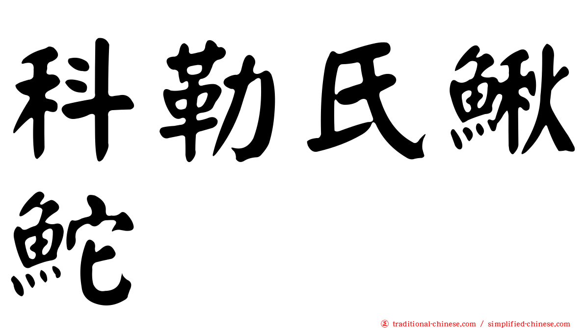 科勒氏鰍鮀