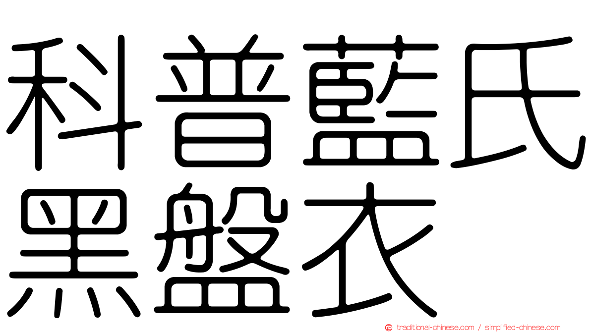 科普藍氏黑盤衣