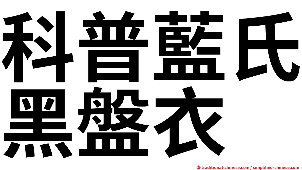 科普藍氏黑盤衣