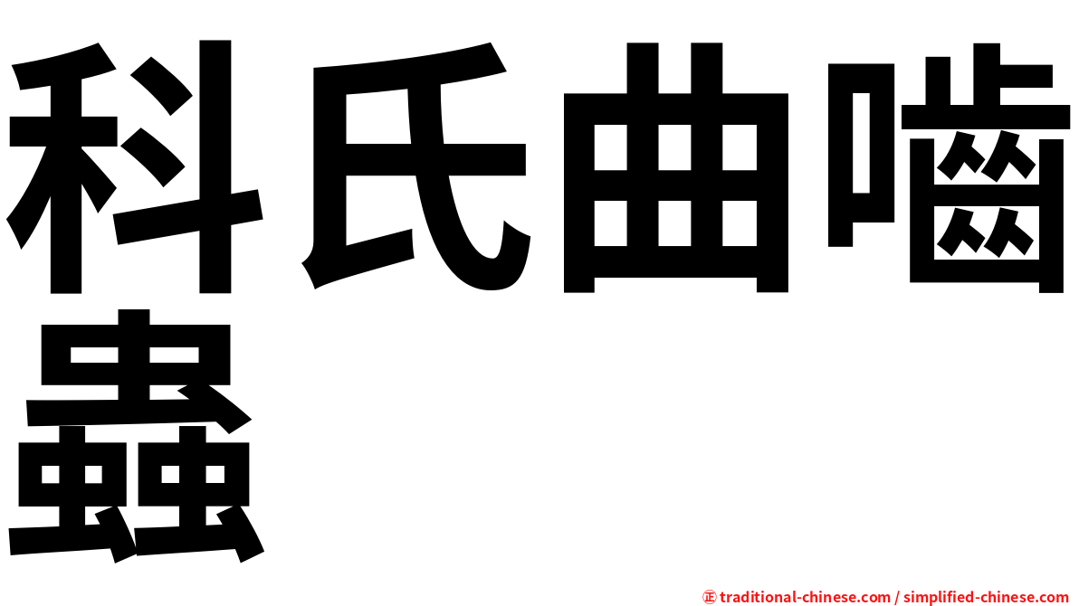 科氏曲嚙蟲