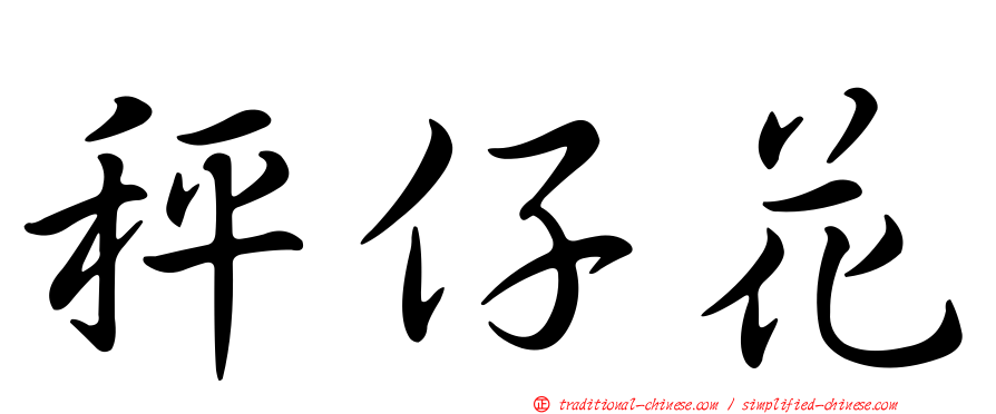 秤仔花