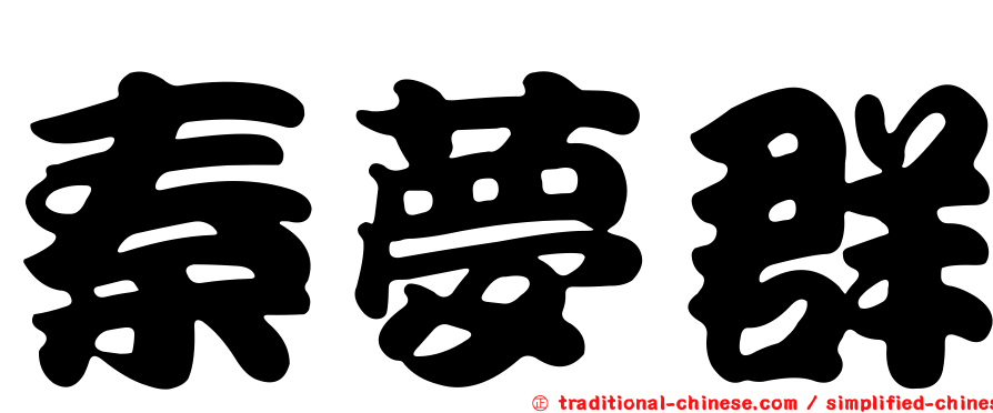 秦夢群