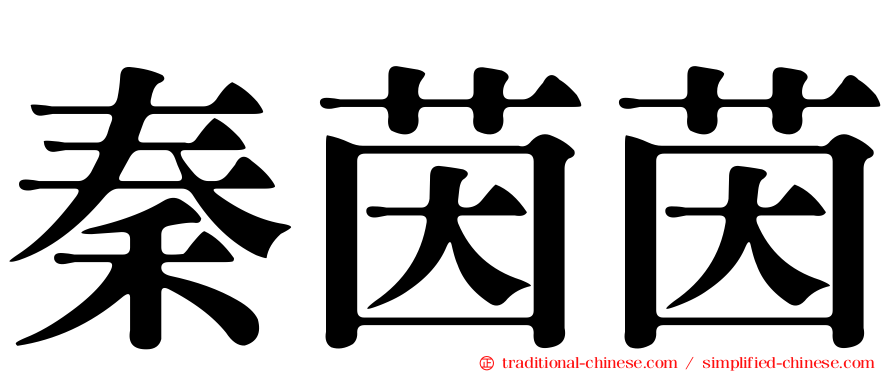 秦茵茵
