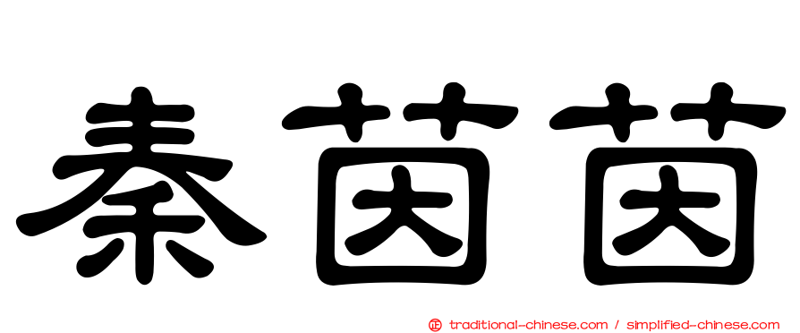 秦茵茵