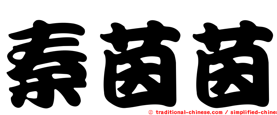 秦茵茵