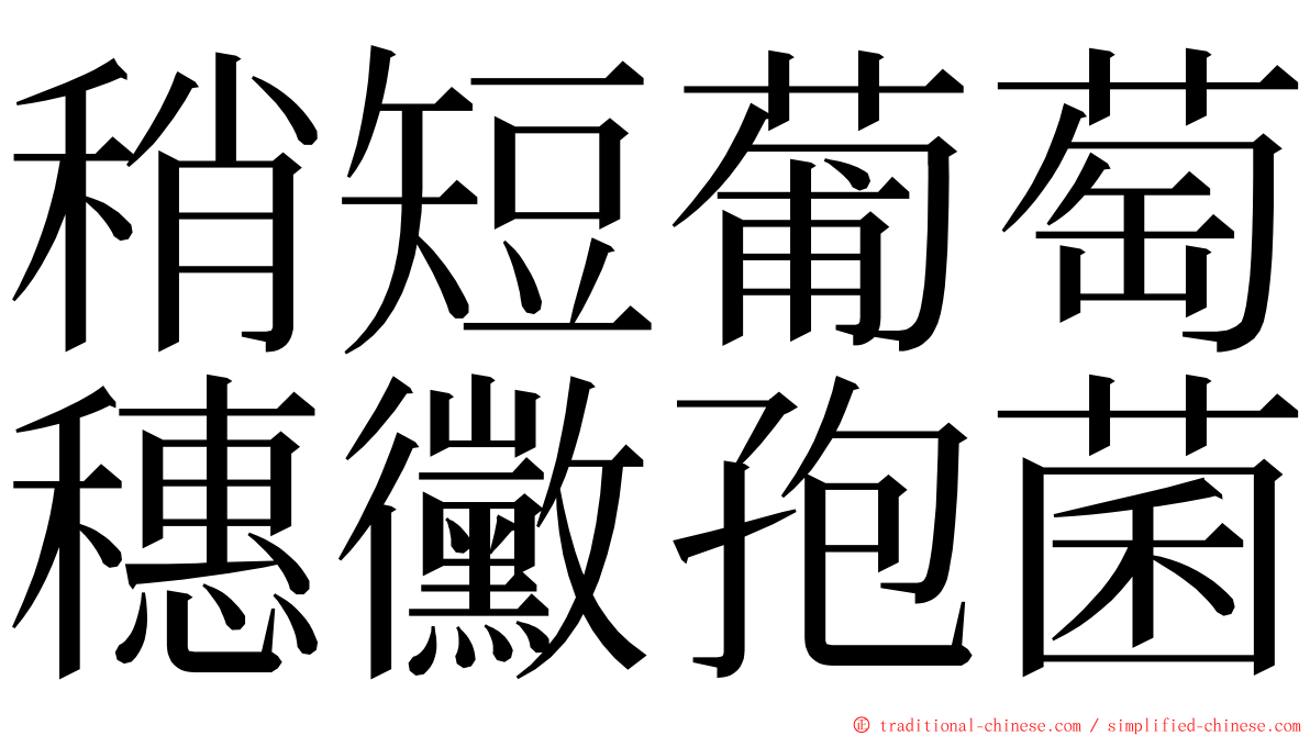 稍短葡萄穗黴孢菌 ming font