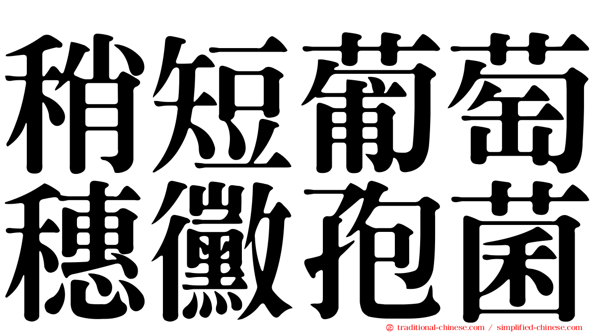 稍短葡萄穗黴孢菌
