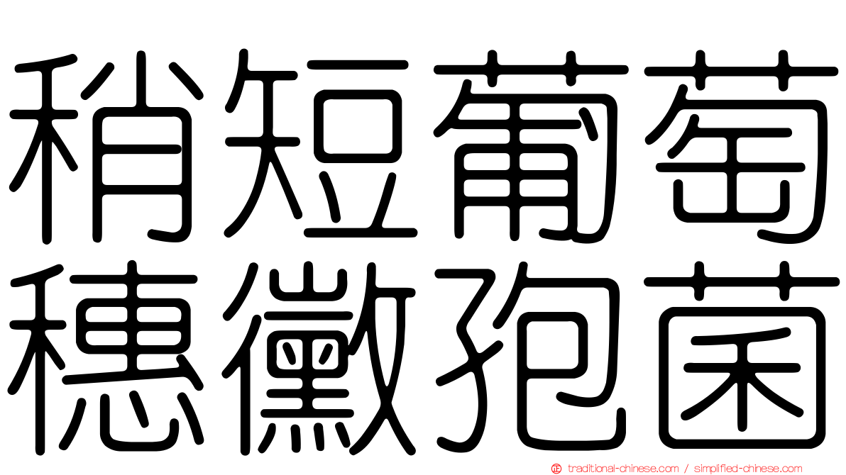稍短葡萄穗黴孢菌