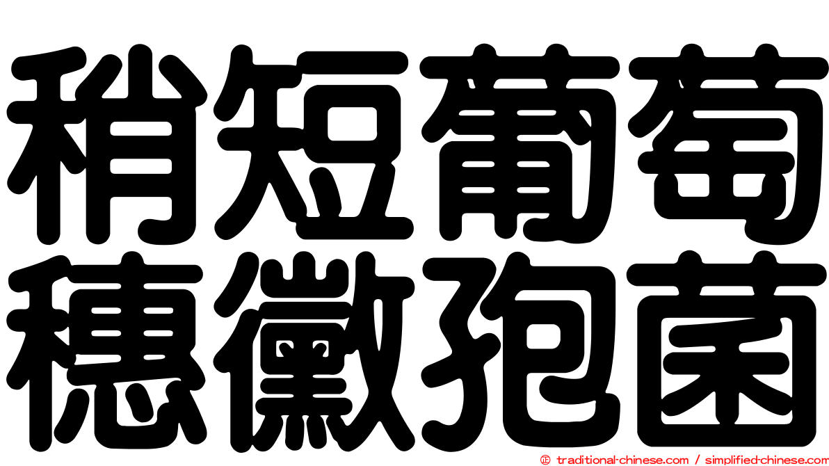 稍短葡萄穗黴孢菌