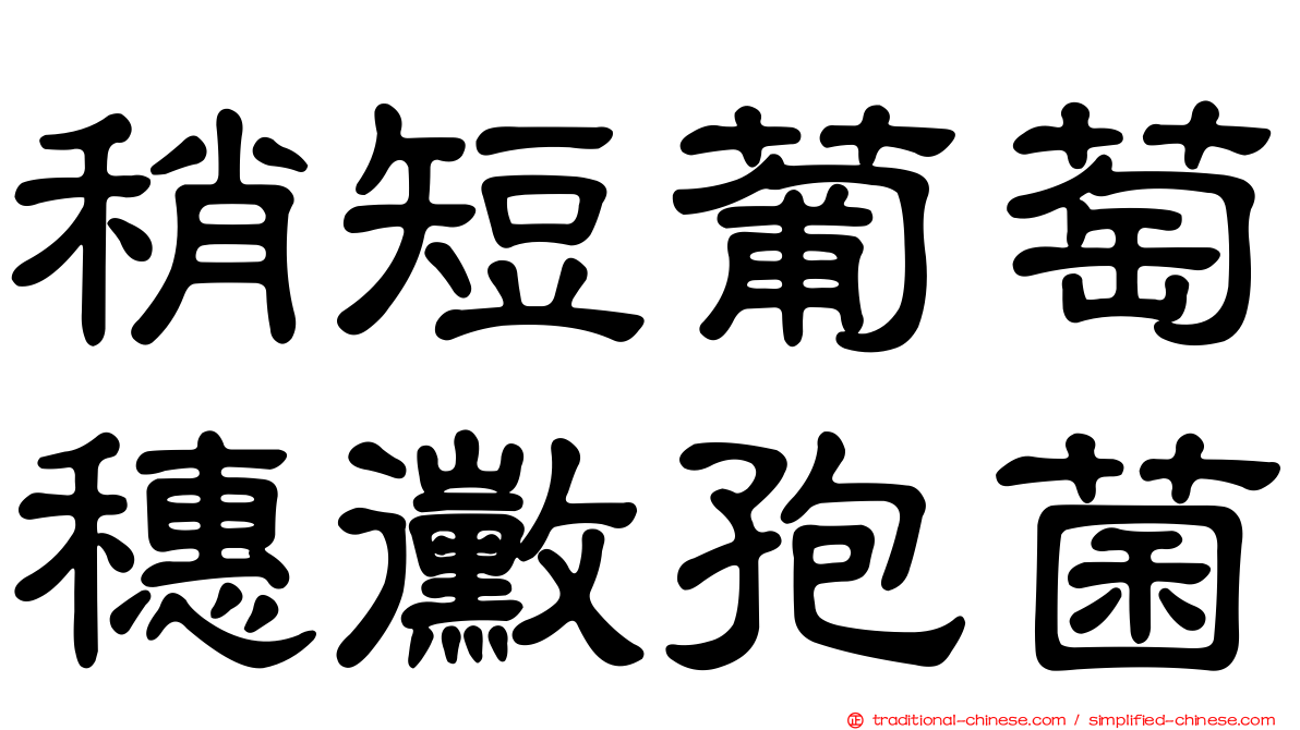 稍短葡萄穗黴孢菌