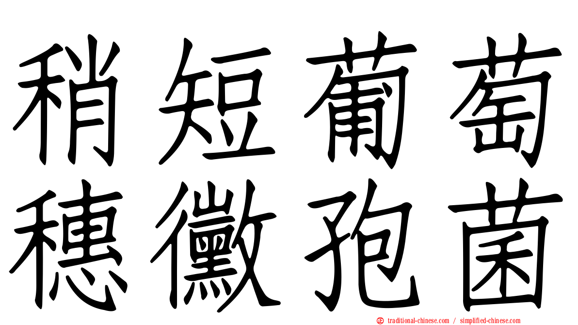 稍短葡萄穗黴孢菌