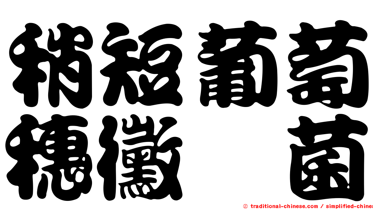 稍短葡萄穗黴孢菌