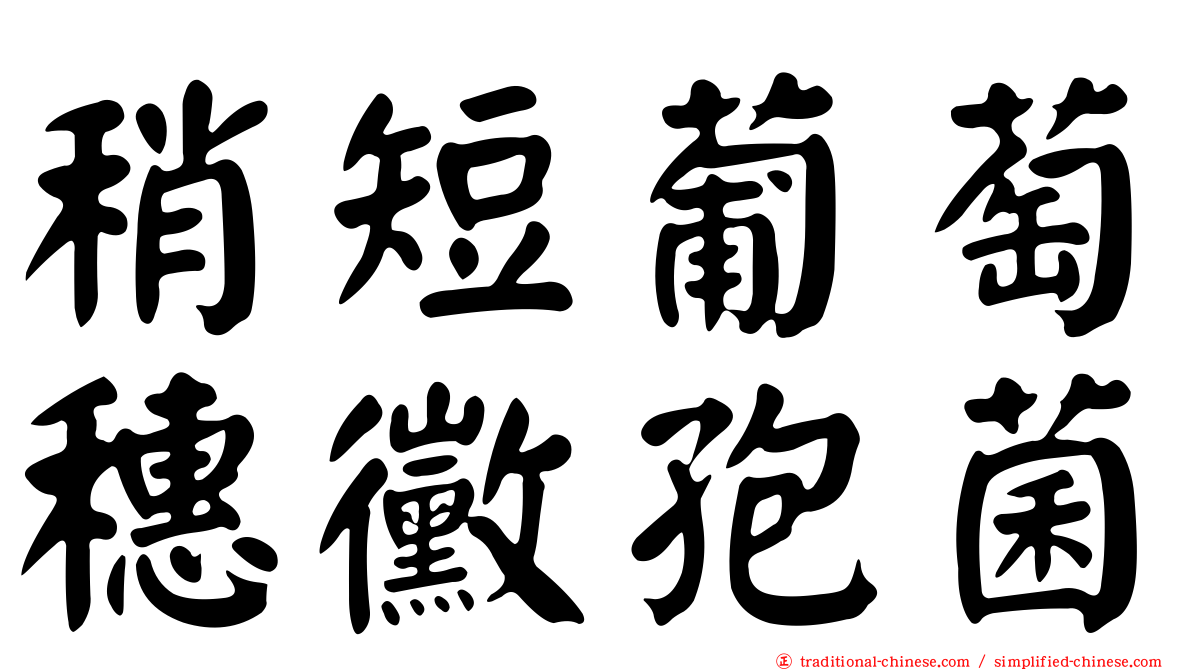 稍短葡萄穗黴孢菌