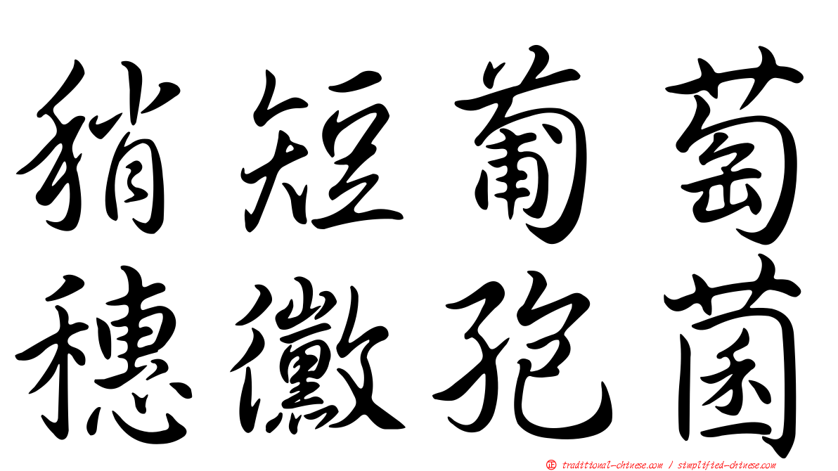 稍短葡萄穗黴孢菌