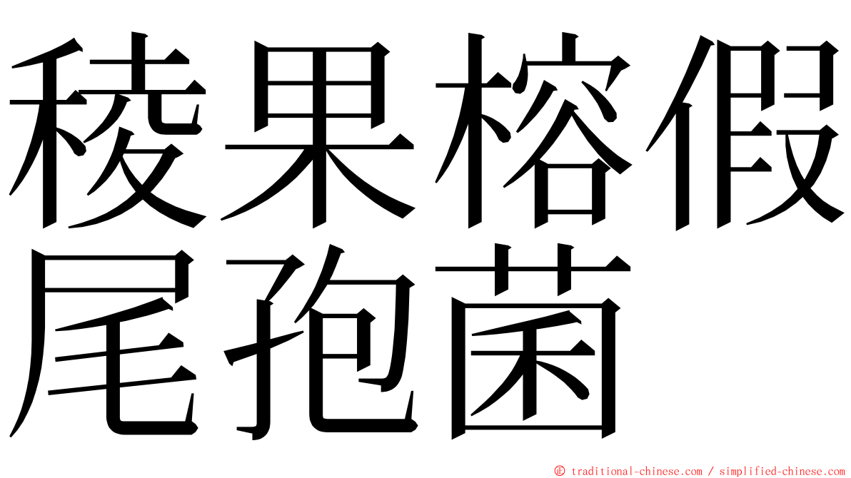稜果榕假尾孢菌 ming font