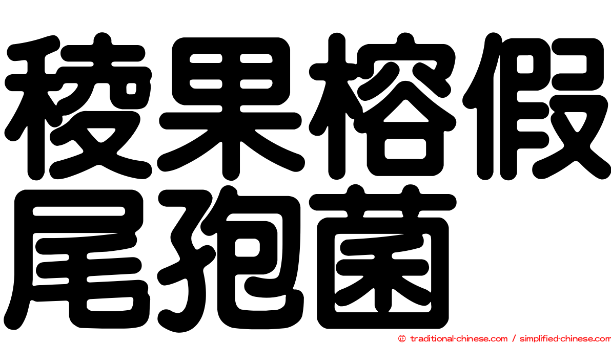 稜果榕假尾孢菌