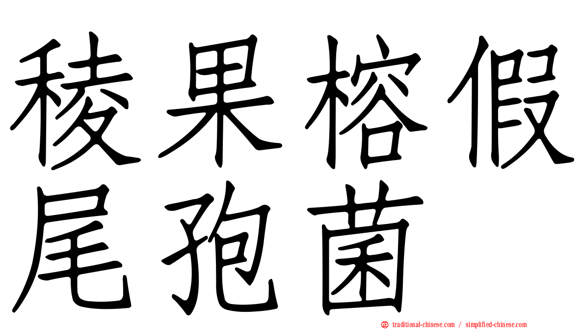 稜果榕假尾孢菌
