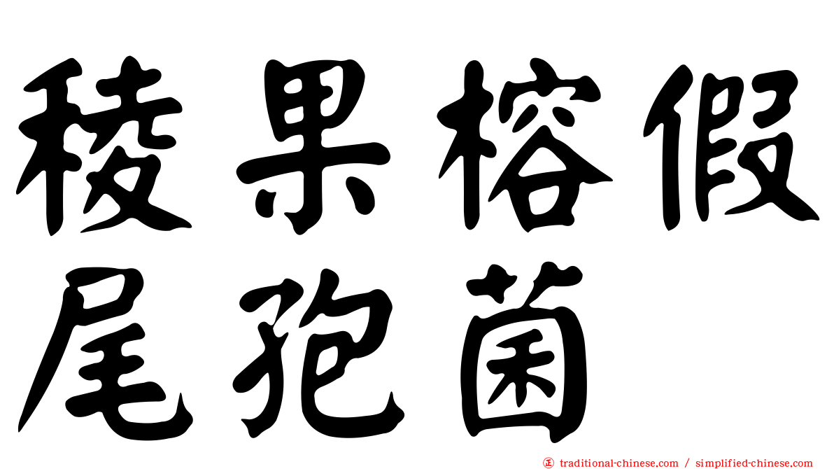 稜果榕假尾孢菌