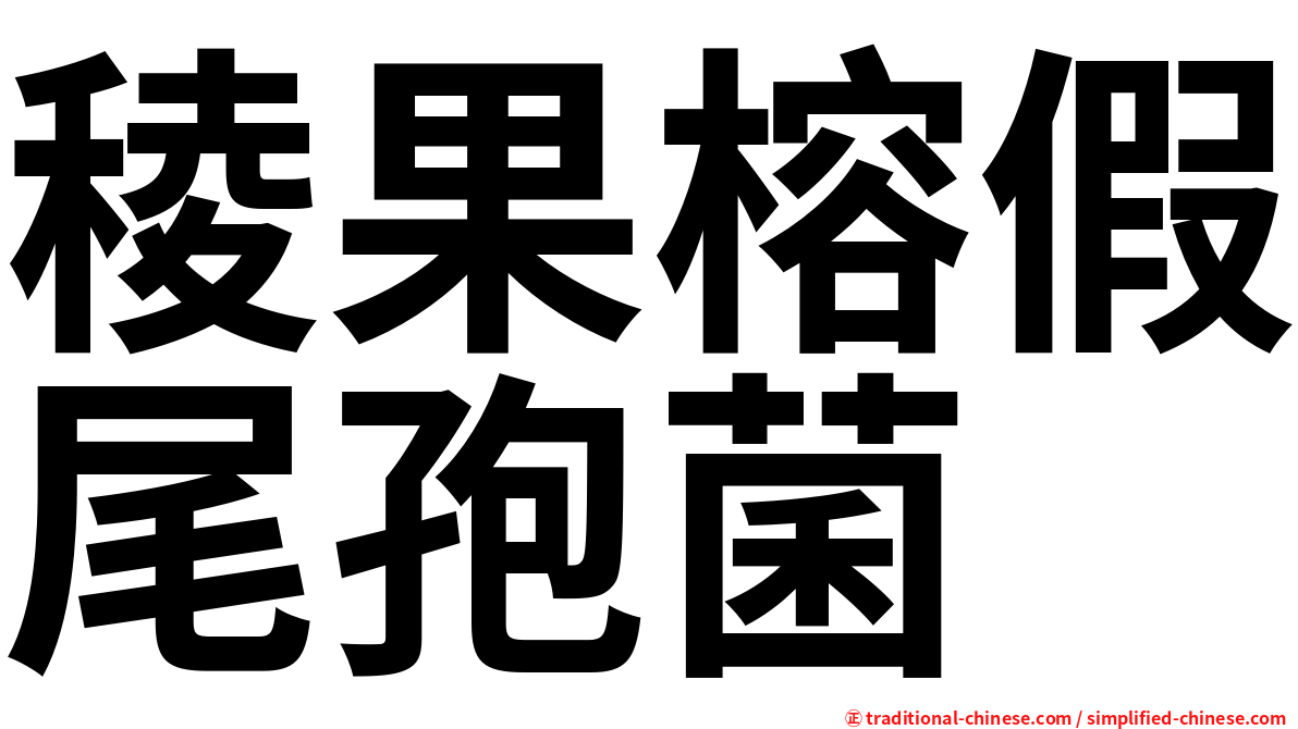 稜果榕假尾孢菌