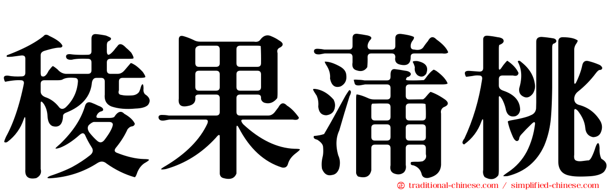 稜果蒲桃