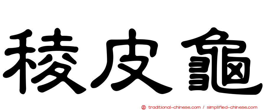 稜皮龜
