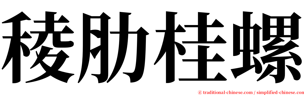 稜肋桂螺 serif font