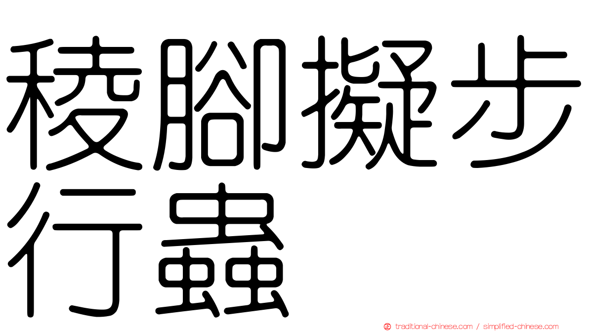 稜腳擬步行蟲