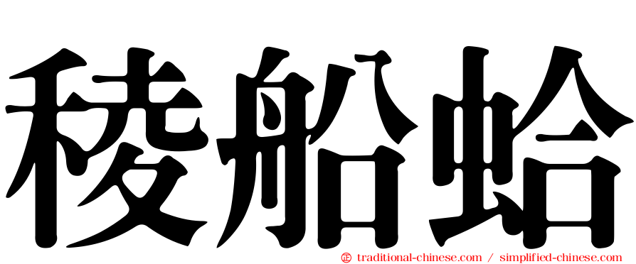 稜船蛤